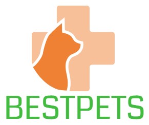 Offerta economica Cat food