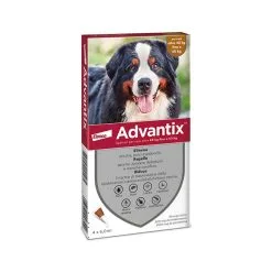 Advantix Antiparassitario 4 Pipette Per Cani (40-60 Kg)