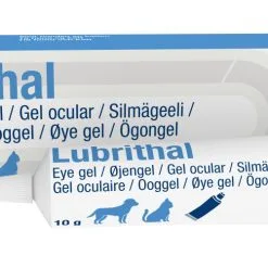 Dechra Lubrithal Gel Oculare Per Cani E Gatti